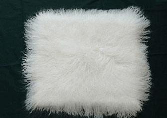 要想皮毛白度提升，應(yīng)選擇哪種增白劑